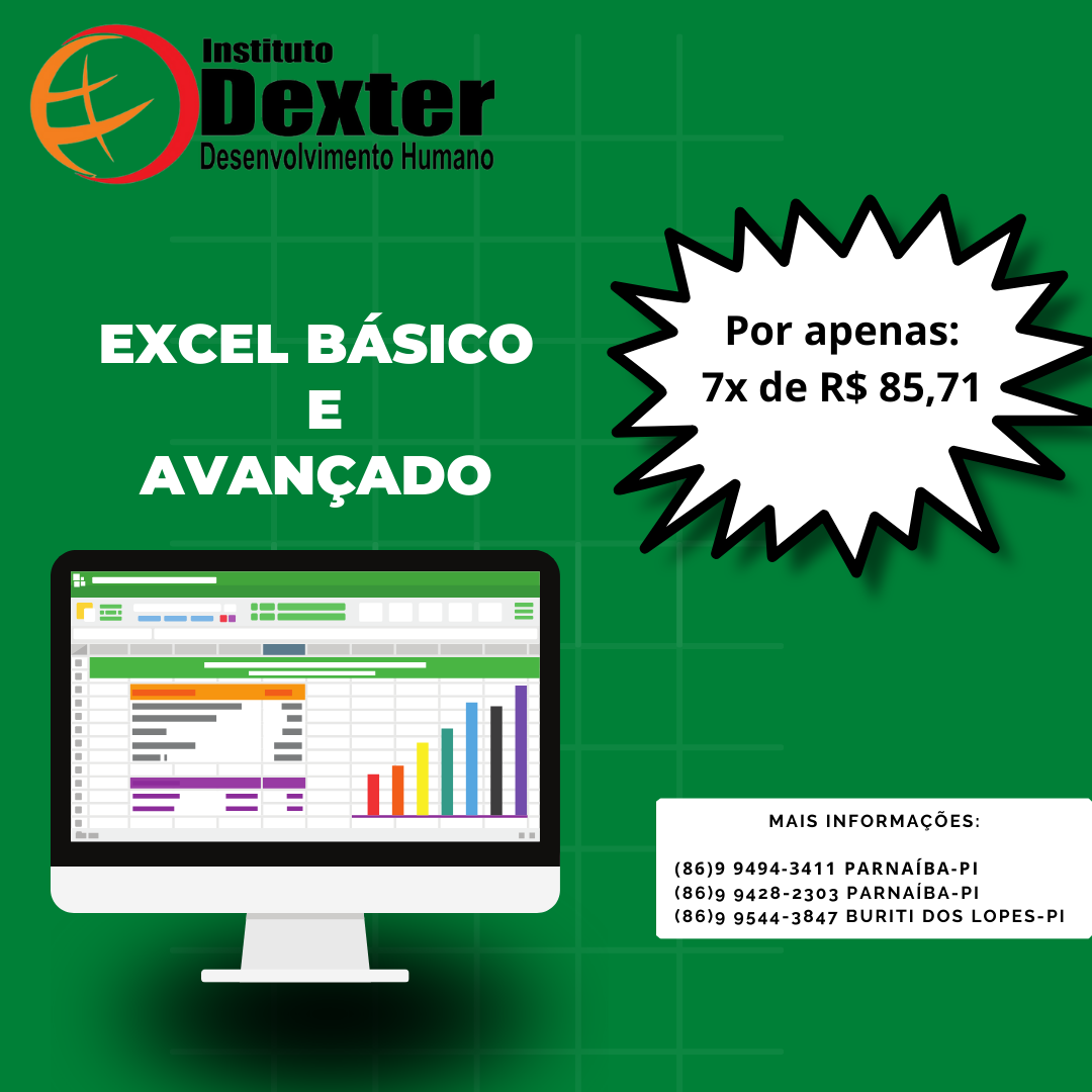 Excel Básico e Avançado